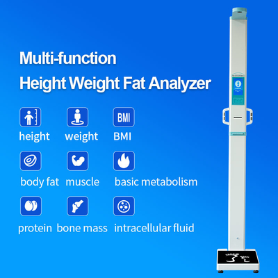 Digital Height Weight Body Composition Analyzer Machine Height Weight Scale