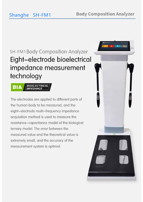 Bioimpedance 3D Body Scale Body Composition Analyzer Machine Body Weight Fat Mass Measurement