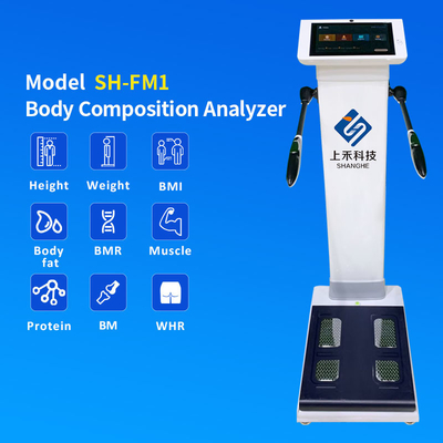 Best Professional Bioimpedancia Body Composition Analysis Body Composition Scale for Gym