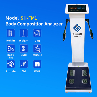 Electronic Height Weight Fat and BMI Health Scale and Fat Analysis