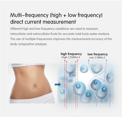 Intelligent Body Composition Analyzer Fat Analysis Machine by Bioelectrical Impedance