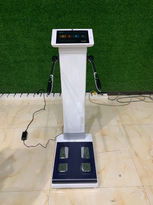 Best Professional Bioimpedancia Body Composition Analysis Body Composition Scale for Gym