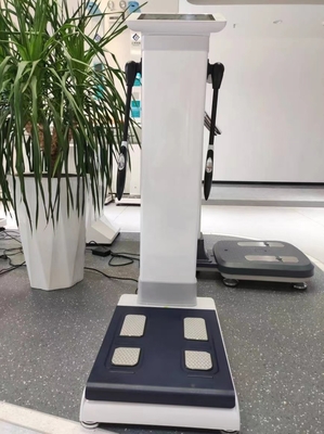 Hot Spa Gym Center Need Body Composition Analyzer 3D Human-Body Elements Analysis Body Analyzer