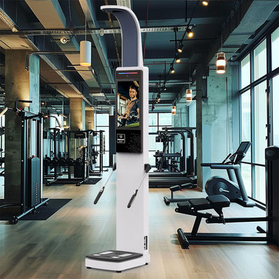 Body BMI Measuring and Human Body element Detection Body Composition Analyzer With Printer Fat Analyzing Machine