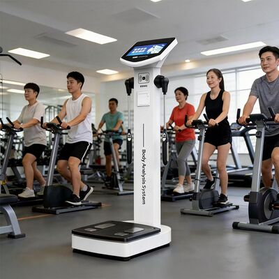 Gym Use Full Body Analyzer Body Scanner Analyzer Scanner Machine Human Composition Measurement Fat Analyse