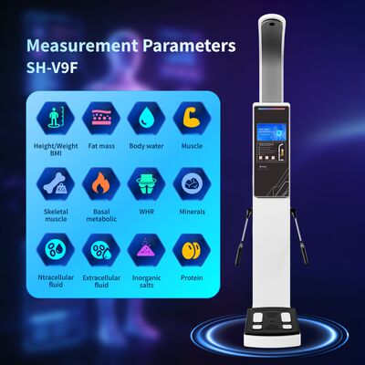 Fitness Center Use Body Composition Analysis Fat Scanner for BMI Body Fat and Muscle Scan Body Analyzer OEM Body Analyzer