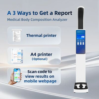 Health Body Scale with Height Weight Bmi Weighing for Pharmacy Clinic