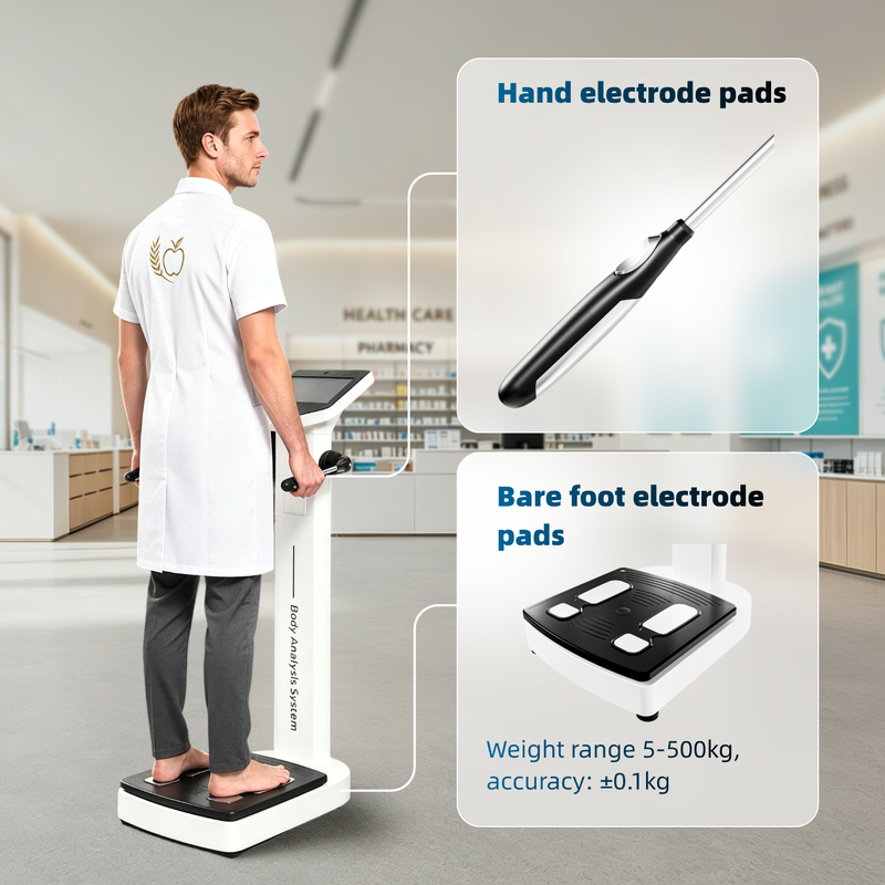 SH-10F Eight-electrode LCD Touch Screen Body Fat Monitor with Wi-Fi/OEM/ODM for Body Analysis
